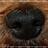 DeJammy's profile image
