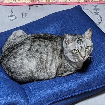 hUVazwMDQLWpYKY's profile picture. 