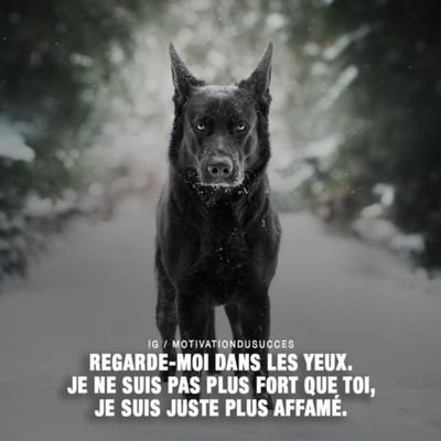 Passionné de sport
A investi quelques cailloux en cryptomonnaie 😉
Joueur parisportif
