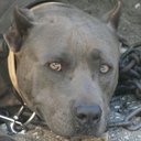 Joe Donato - @USCJP16 - Twitter