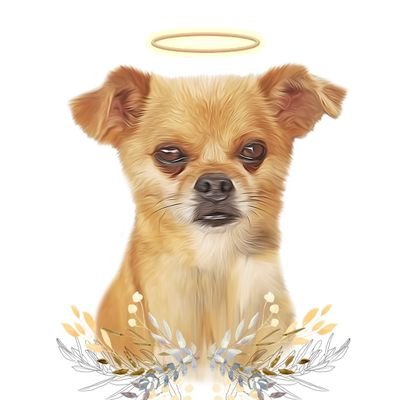 BuckliesAngel's profile picture. I bleed classic rock and sarcasm. People think I'm quirky which is the nice way of saying she's crazy.