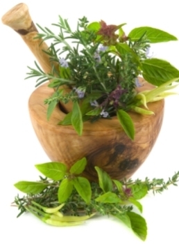 Herbaltricks's profile picture. Natural Organic Herbal Home Remedies for Kids, pregnancy and other health issues