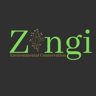 Zingi Environmental Conservation