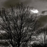 hicetnunc 🇧🇪 (@hicetnunc_9) 's Twitter Profile