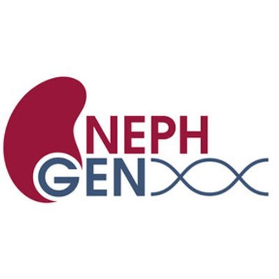 NephGen brings together scientists who use genetic evidence and innovative transdisciplinary approaches to prevent and treat kidney diseases.