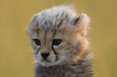 dami7683's profile picture. 