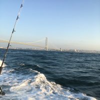 kame (@h67k08) 's Twitter Profile