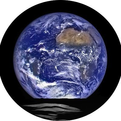 BiodiversityDAO's profile picture. A nascent biodiversity DAO. Supporting diversity of life-forms and species in all domains #ethicsoflife
discord: https://t.co/nuGSALLxk0 linked to: @naturalcapDAO