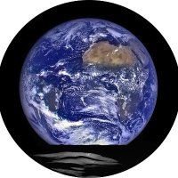 BiodiversityDAO (@biodiversitydao) Twitter profile photo