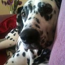 Karen cusack - @KcgillCusack - Twitter