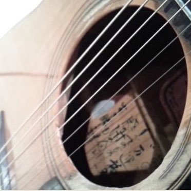 nino1838's profile picture. 右っ子です、はい、右っ子です