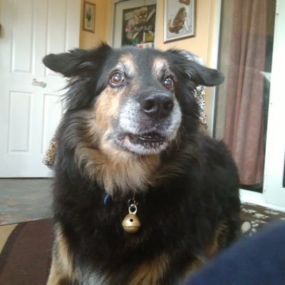 yourinmysights's profile picture. 