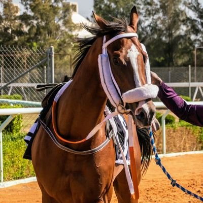 AbdurahmanALsal's profile picture. 6/9/1992