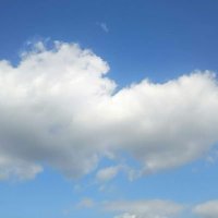 あおぞら (@oochin2021) 's Twitter Profile Photo