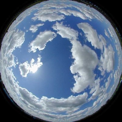 506taku's profile picture. 내사랑백현이나한테일등