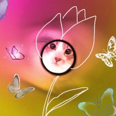 @chako0122