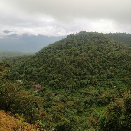 Ecuador, Ecuador y más Ecuador. El mejor lugar del mundo.