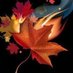 RedMapleFire (@buddenchris1997) Twitter profile photo RedMapleFire (@buddenchris1997) Twitter profile photo