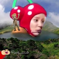 wa_cco (@wa_cco) 's Twitter Profile Photo