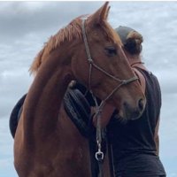 Fran Gallagher (@gallagherfran2) 's Twitter Profile