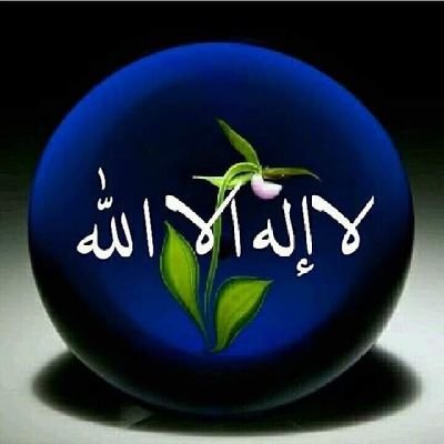 hmadh_slyman's profile picture. 