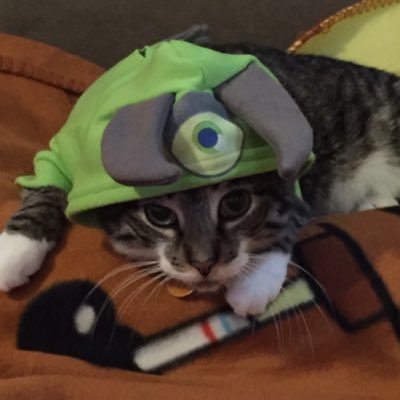 goldfalcon31's profile picture. 