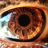 Mata Eye (@skepticaleyenft) Twitter profile photo