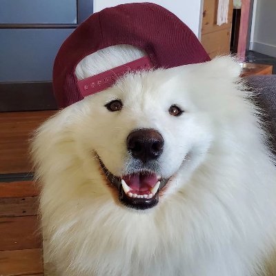 WirbiOSRS's profile picture. burnt pet hunter & inferno shitter