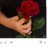 marok_sabrina's profile image