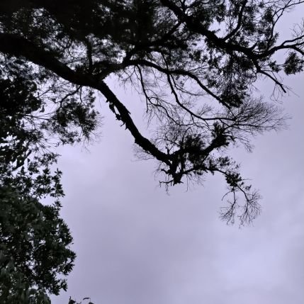 K45847412's profile picture. 男 #新北 #永和 #交友 #歡迎私訊 #開放 #25y #已打九價