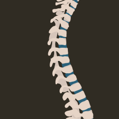 SpinalCworkshop Profile Picture