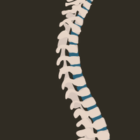 Martinos Spinal Cord Workshop(@SpinalCworkshop) 's Twitter Profile Photo