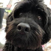 Benno 🎸 (@_teambennett9) 's Twitter Profile Photo Benno 🎸 (@_teambennett9) 's Twitter Profile Photo