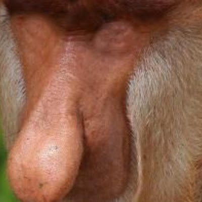 papaloizy's profile picture. SUS