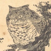 tilopa (@youngtilopa) 's Twitter Profile Photo