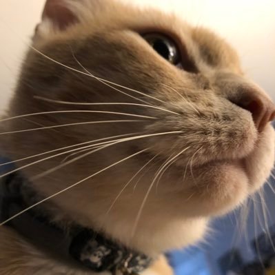 DeceptiKHAAAAAN's profile picture. Husband / Father / Tired