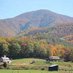Wears Valley (@wearsvalleytn) Twitter profile photo Wears Valley (@wearsvalleytn) Twitter profile photo