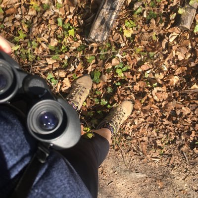 Ninanu23's profile picture. Enthusiastic birder | Wildlife lover | Naturalist | Fungi fan | Amateur photographer 🐦🐾🍃🍄📷