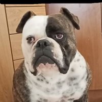 David (@david69308632) 's Twitter Profile