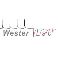 Wester Lab (@labwester) 's Twitter Profile