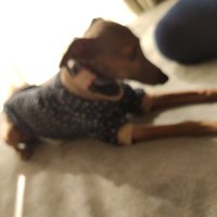 あすと (@asuto_153) on X