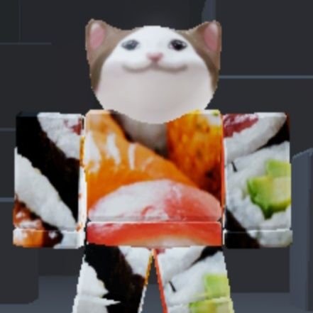 Robloxupdatedz's profile picture. Roblox updates