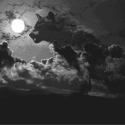 MainvestorEd's profile picture. Just for fun