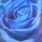 tomicchan's profile image