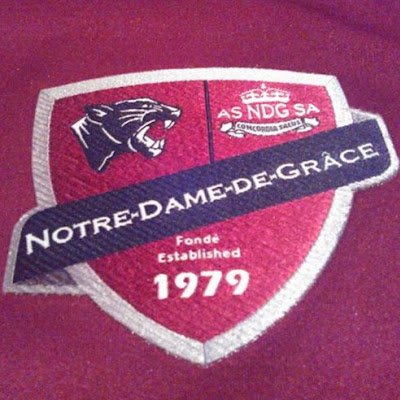 RaviSwitzman's profile picture. 