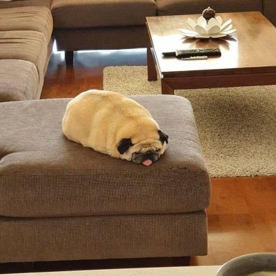 candyapplefez's profile picture. 