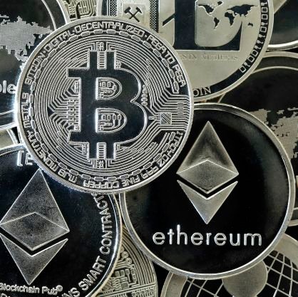 Gavin55056296's profile picture. 