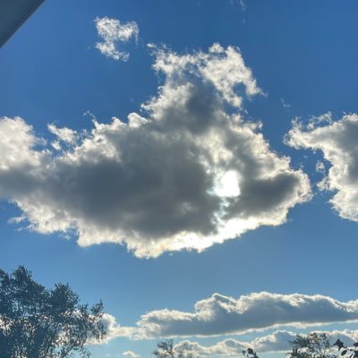 T2Balance's profile picture. 