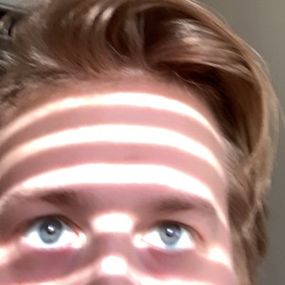 seeruckwastaken's profile picture. 25 | communism will win 🥰