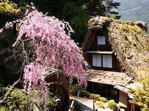 当館下呂温泉「小川屋」から合掌村へ車で3分の好アクセス	
日本三名泉のひとつ下呂温泉の宿。
由緒ある温泉街の中心に佇み、
多くのお客様に愛されて参りました。
100畳空間の畳風呂と飛騨川を望む絶好の立地。
老舗ならではの佇まいとおもてなしでお迎えいたします